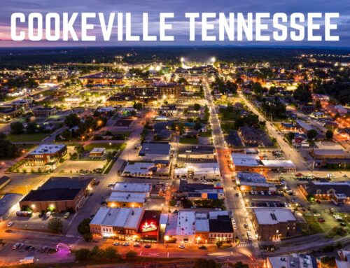 Web Design Trends in Middle Tennessee: Spotlight on Cookeville